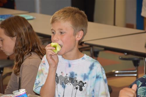 Boy eating apple 